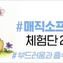 나비잠 - 가평군 싸리재길 16 | 나비잠