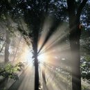 농부의 아들 이미지