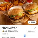 레드앤그린 버거 | 수제버거 맛집 레드앤그린버거 배달후기 내돈내산