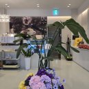 전주관광호텔 꽃심 이미지