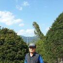 상운농장 Daum카페