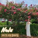 산포홍련마을 이미지