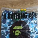 불루모아 이미지