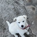 무장글샘작은도서관 이미지