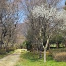 로하스대청공원 이미지