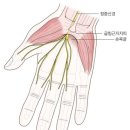 대니스짐 이미지
