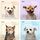 행복하개 반려동물 센터 이미지