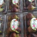 큰골농장 이미지