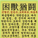 연리지로 이미지