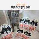 고양이츄르추천 짜먹는 냥이간식 포캣츄 급여 후기