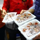 자등 2리 이미지