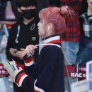 상큼하개 이미지