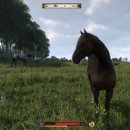 세민농장2 이미지