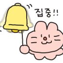 울산본식스냅웨딩박람회
