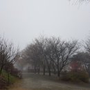 안성비봉산 캠핑장 이미지