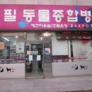 목동 동물병원 이미지