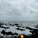 해비치리조트 | 제주 해비치 리조트 숙박 후기 🌿 주니어 스위트 테라스룸 (객실, 조식, 수영장 총정리)