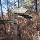 이산치안센터 이미지