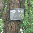 만수치안센터 이미지