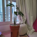 초원꽃집 이미지