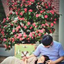 소담스튜디오 이미지