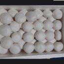 연무농장 이미지