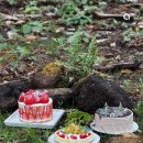 공원마을2길39 이미지