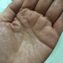 크레이지티브 | 올리브영(봉곡점)세일/ 클렌징 오일,클렌징 폼,수딩크림, 내돈 내산 사용후기~