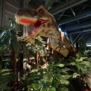 2018 광명동굴 설 명절 복 한마당 이미지