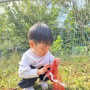 즐거운영재어린이집 이미지