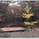 승찬농원 네이버블로그
