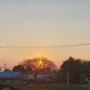 세화1리마을회관 이미지