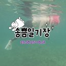 석적도서관 | [일기] 송쁨일기장 (스마일패스로 수영 기록하기,석적 효성맛집 별이국수닭발 ∼ 왜관 묵맛집 발견...