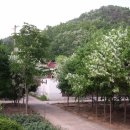 양지1리 이미지