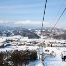 알펜시아리조트 이미지