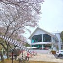 장성 | (전남)장성 백양사 카페 백운 후기, 벚꽃길 지나 만난 뷰 좋은 대형카페