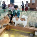 예원숲어린이집 이미지