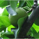 가재골농장 이미지