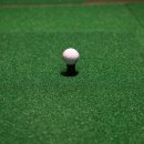 CC비젼스크린골프 이미지