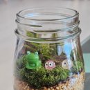 공익활동지원센터 | 2025년 11월 15일(토) 시민공익활동지원센터에서 체험 프로그램 -테라리움 만들기