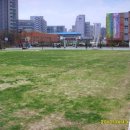 잠실고등학교 이미지