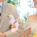 다르미앙 이미지