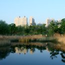호수공원 이미지