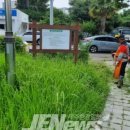 제주 천지연 난대림 이미지