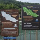 고흥터미널 내 | 고흥 가볼만한곳 - 힐링파크 쑥섬쑥섬 ㅣ 개화현황 포토존 주차 나로도항여객터미널