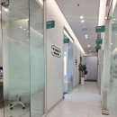 휴먼치과의원 | 강남 언주역 덴티크치과 라미네이트 드디어!! (솔직후기)