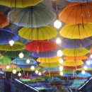 문경 오미자테마터널 이미지