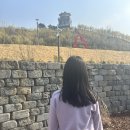 사물놀이 | 구례산수유 축제 후기, 사물놀이, 풍물놀이, 산수유, 봄꽃