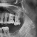 호평나무치과의원 이미지