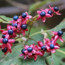 오작교농장 이미지